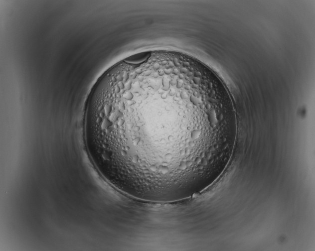 X0000103501534200809121727