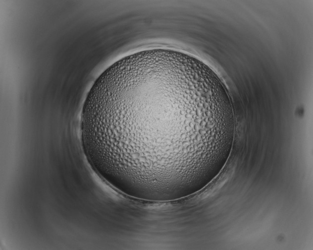 X0000103501535200809121727