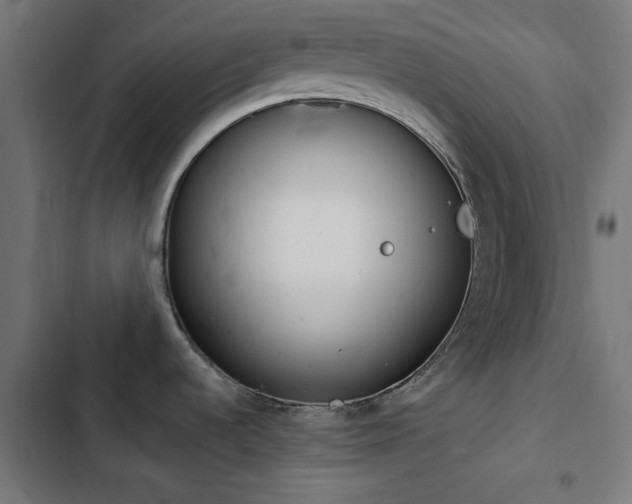 X0000103501536200809121727