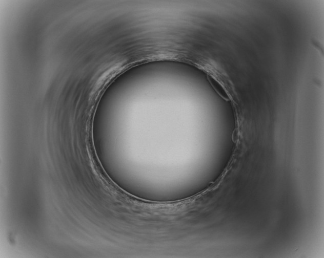 X0000103500001200809191956