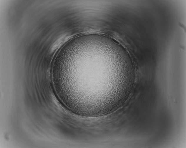 X0000103500002200809191956