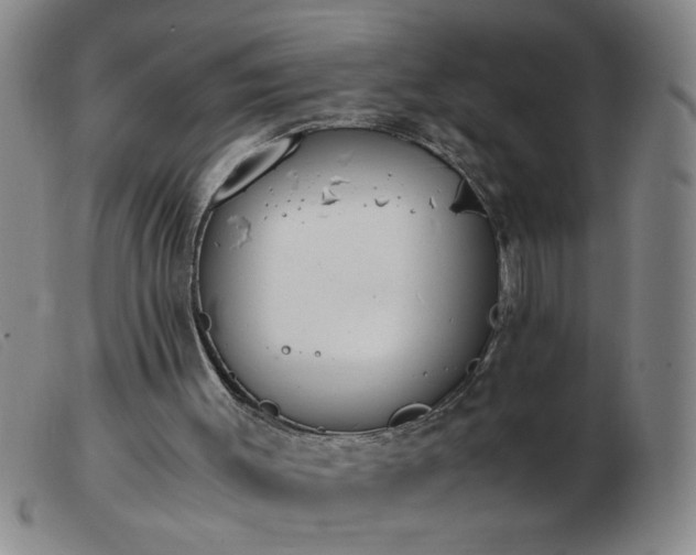 X0000103500003200809191956