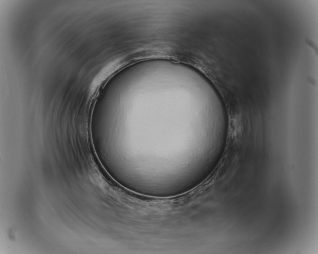 X0000103500004200809191956