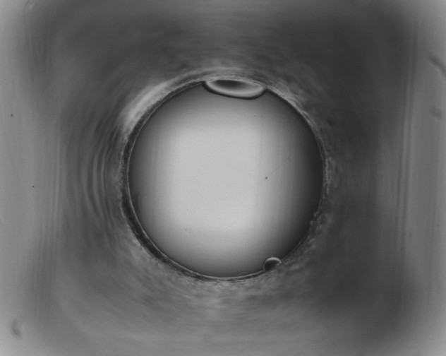 X0000103500007200809191956