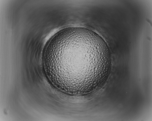 X0000103500008200809191956