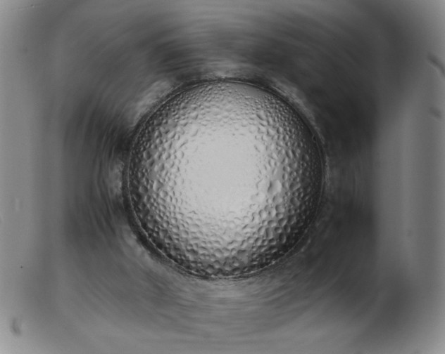 X0000103500010200809191956