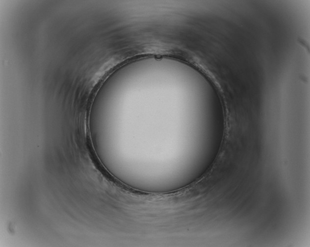 X0000103500011200809191956