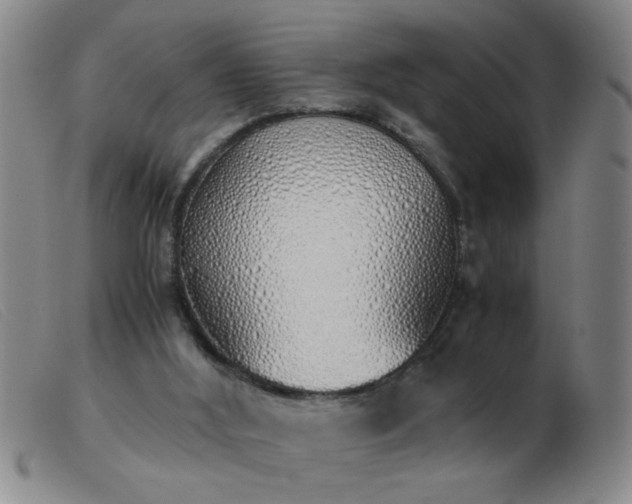 X0000103500012200809191956