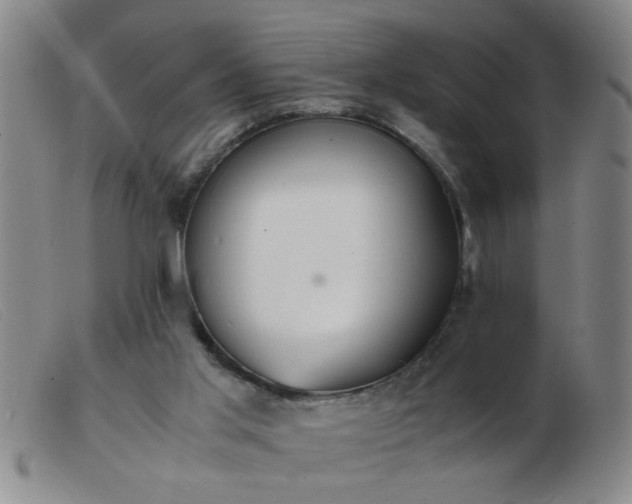 X0000103500013200809191956