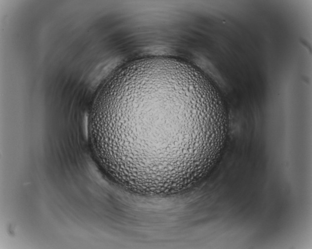 X0000103500014200809191956