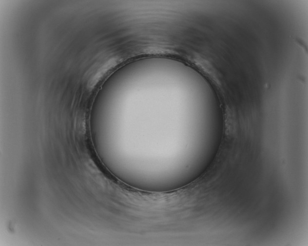 X0000103500015200809191956