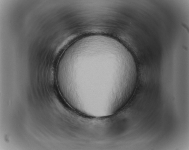 X0000103500016200809191956