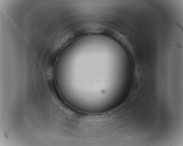 X0000103500017200809191956