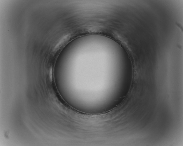 X0000103500019200809191956