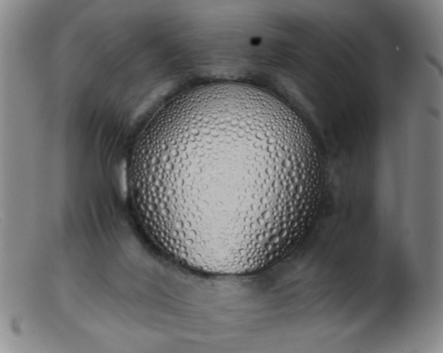 X0000103500020200809191956