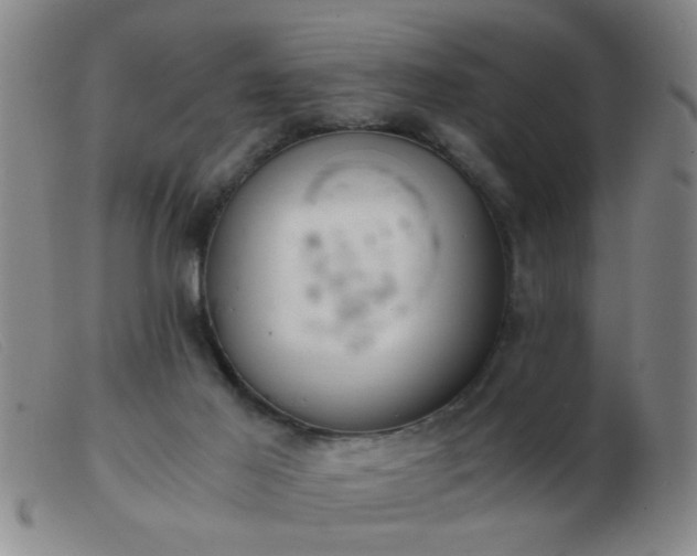 X0000103500021200809191956