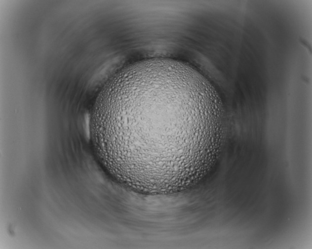 X0000103500022200809191956