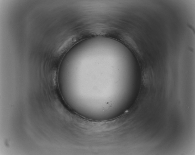 X0000103500023200809191956