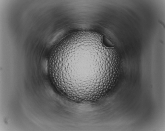 X0000103500024200809191956