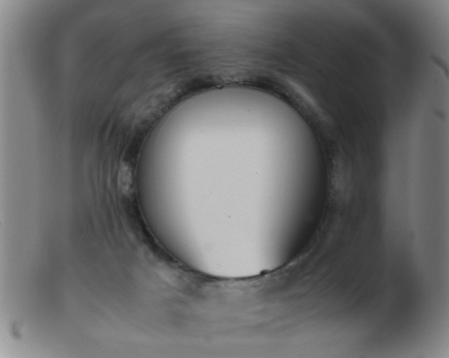 X0000103500025200809191956