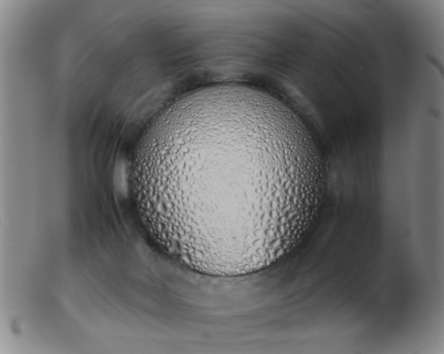 X0000103500026200809191956