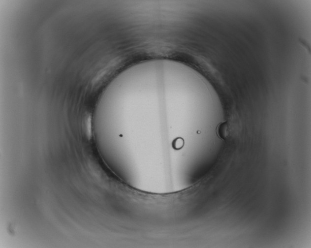 X0000103500027200809191956