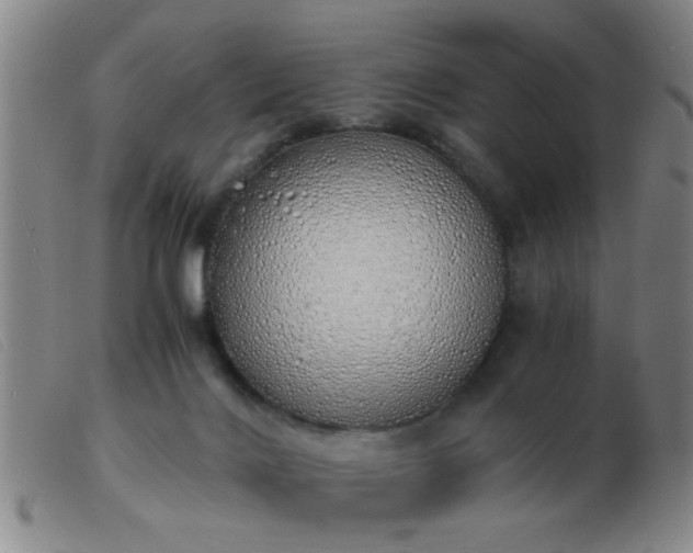 X0000103500028200809191956