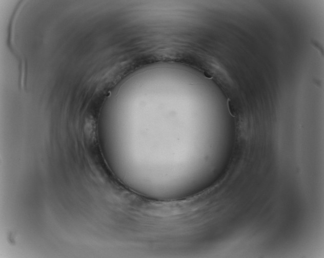 X0000103500029200809191956