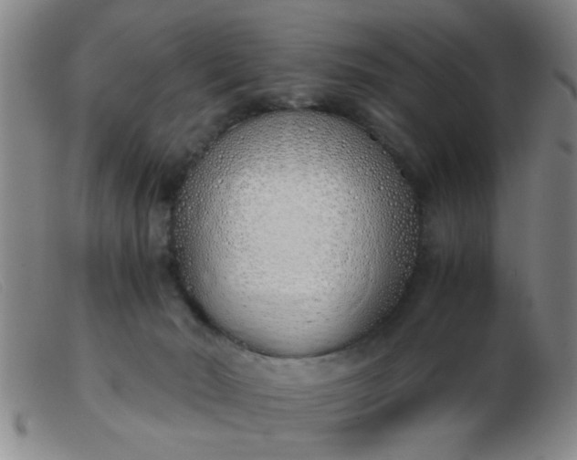 X0000103500030200809191956