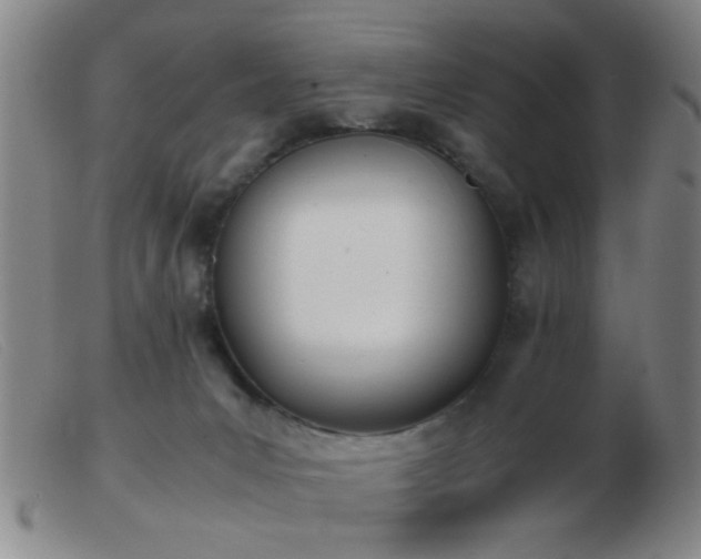 X0000103500031200809191956