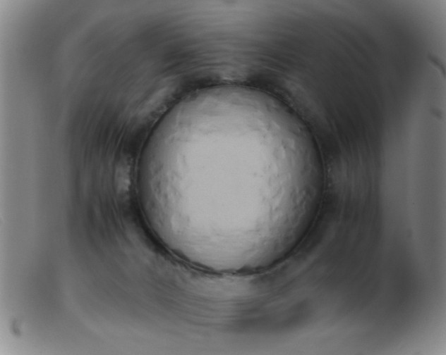 X0000103500032200809191956