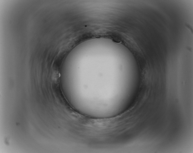 X0000103500033200809191956