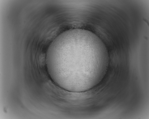 X0000103500034200809191956