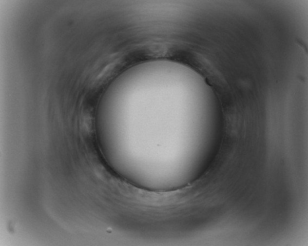 X0000103500035200809191956