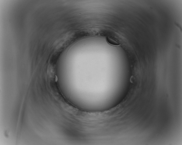 X0000103500037200809191956