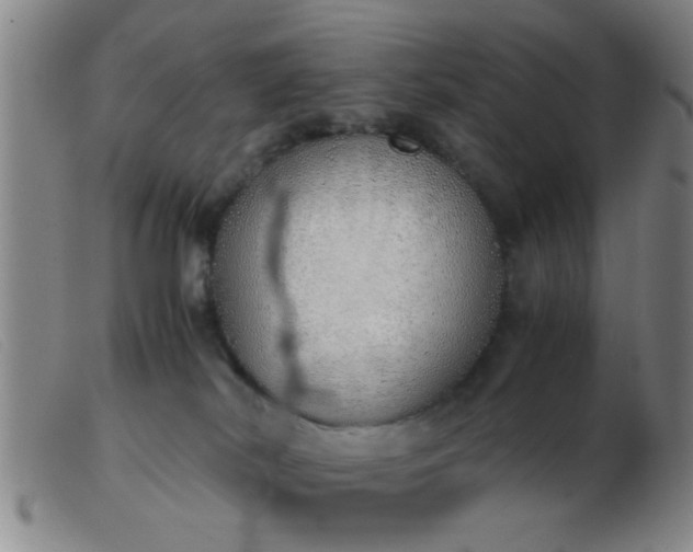 X0000103500038200809191956