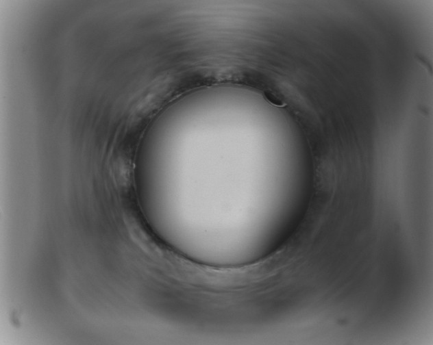 X0000103500039200809191955