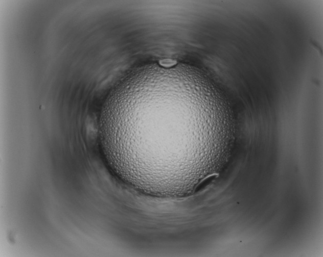 X0000103500040200809191955