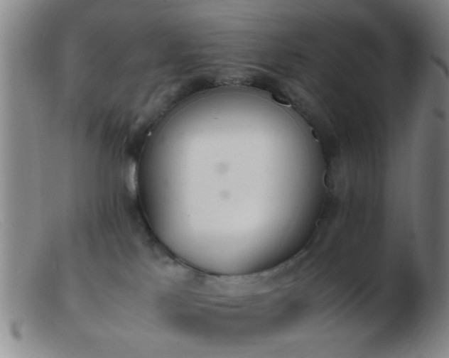 X0000103500041200809191955