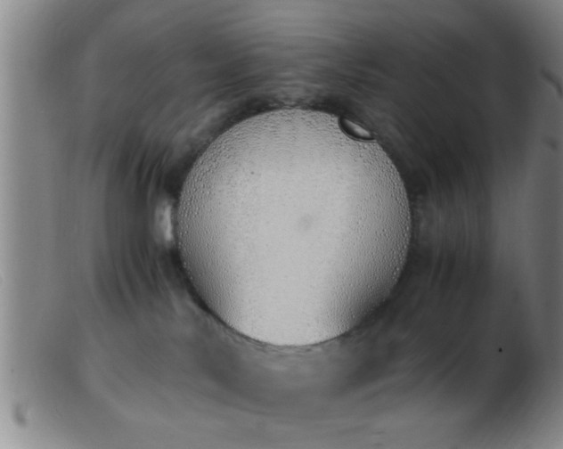 X0000103500042200809191955