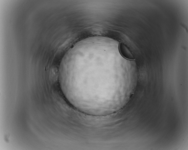 X0000103500043200809191955