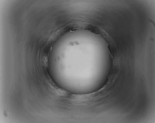 X0000103500045200809191955