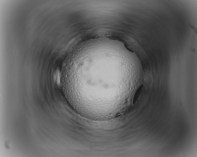 X0000103500046200809191955