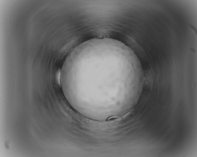 X0000103500047200809191955