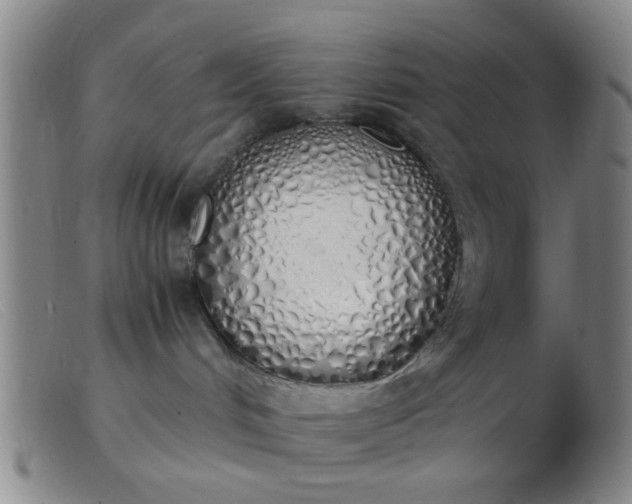 X0000103500048200809191955