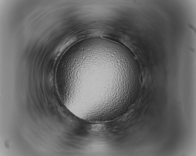 X0000103500050200809191955