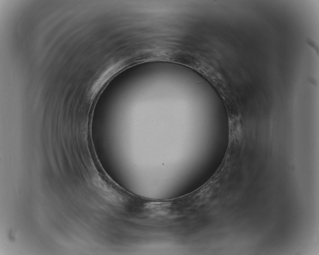 X0000103500051200809191955