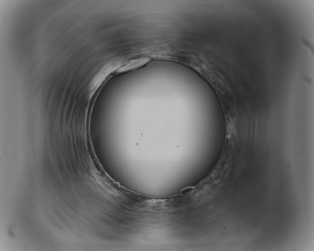 X0000103500052200809191955