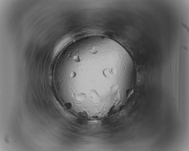 X0000103500053200809191955