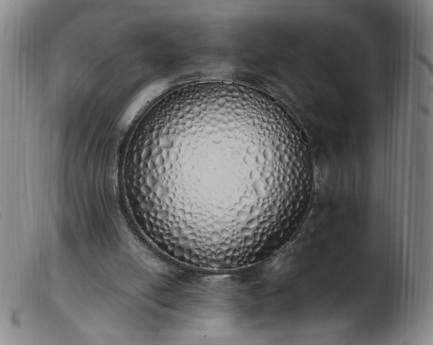 X0000103500054200809191955